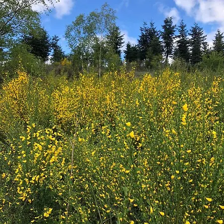 Haus Astenblick In Fuer Bis Zu 35 Personen Fuer Wanderveranstaltungen Und Familienfeiern דירה ווינטרברג