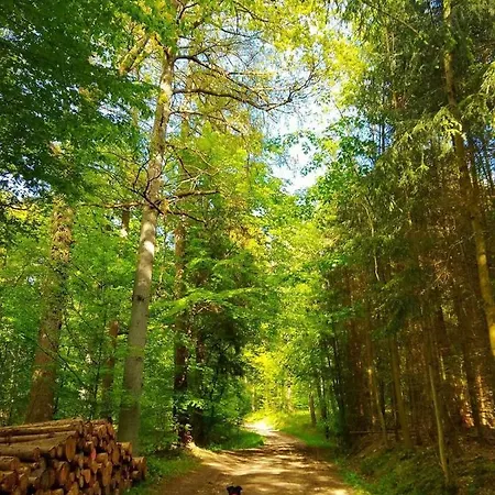 Haus Astenblick In Winterberg Wanderveranstaltungen, Firmen-Familienfeiern Bis 35 P *