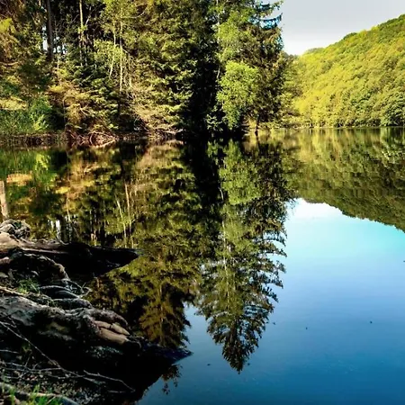 Διαμέρισμα Haus Astenblick In Fuer Bis Zu 35 Personen Fuer Wanderveranstaltungen Und Familienfeiern *