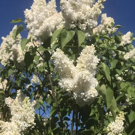 דירה Haus Astenblick In Fuer Bis Zu 35 Personen Fuer Wanderveranstaltungen Und Familienfeiern ווינטרברג