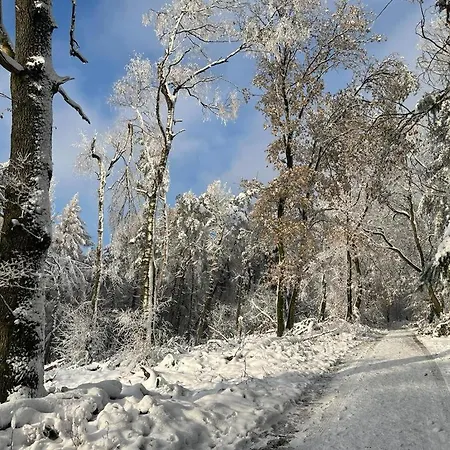 Haus Astenblick In Winterberg Wanderveranstaltungen, Firmen-Familienfeiern Bis 35 P
