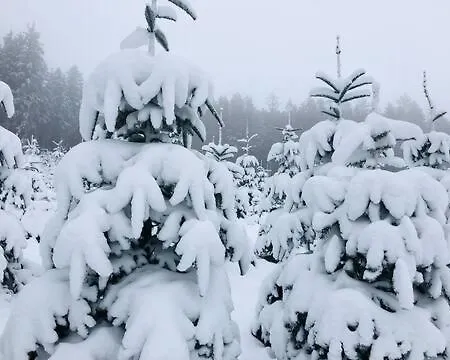 Haus Astenblick In Fuer Bis Zu 35 Personen Fuer Wanderveranstaltungen Und Familienfeiern * Βίντερμπεργκ