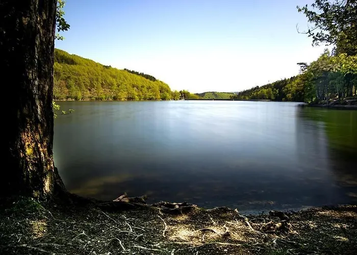 Haus Astenblick In Fuer Bis Zu 35 Personen Fuer Wanderveranstaltungen Und Familienfeiern Apartment Winterberg