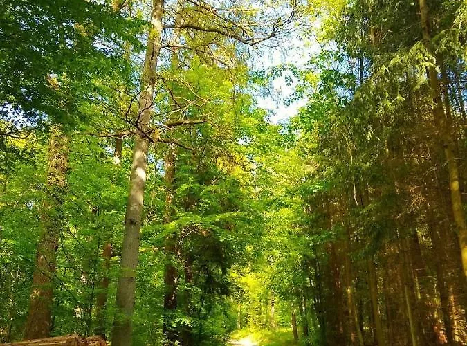 Haus Astenblick In Für Bis Zu 35 Personen Für Wanderveranstaltungen Und Familienfeiern *