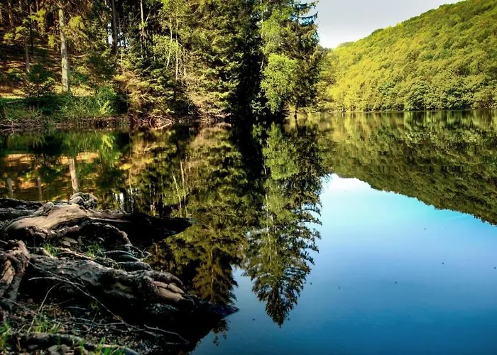 Apartamento Haus Astenblick In Für Bis Zu 35 Personen Für Wanderveranstaltungen Und Familienfeiern *