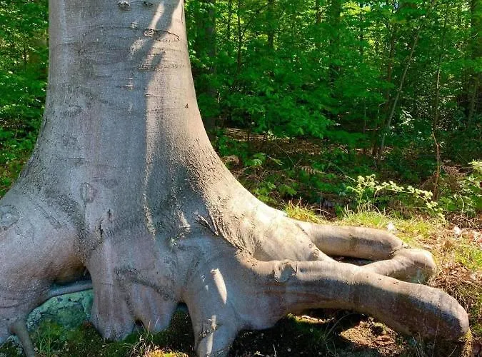 Haus Astenblick In Für Bis Zu 35 Personen Für Wanderveranstaltungen Und Familienfeiern