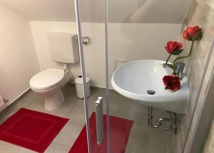 Haus Astenblick In Fuer Bis Zu 35 Personen Fuer Wanderveranstaltungen Und Familienfeiern Apartment