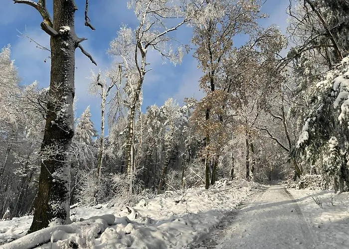 Haus Astenblick In Für Bis Zu 35 Personen Für Wanderveranstaltungen Und Familienfeiern