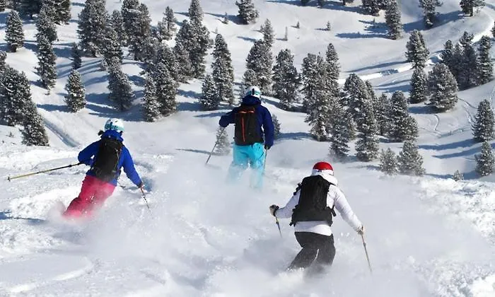 Apartment Haus Astenblick In Fuer Bis Zu 35 Personen Fuer Wanderveranstaltungen Und Familienfeiern Winterberg