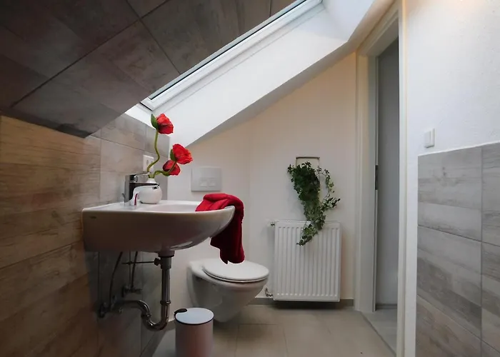 Haus Astenblick In Für Bis Zu 35 Personen Für Wanderveranstaltungen Und Familienfeiern