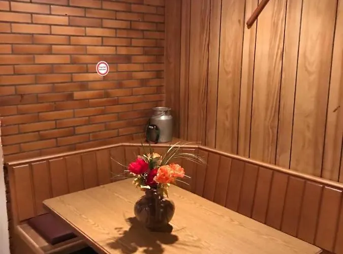 Haus Astenblick In Fuer Bis Zu 35 Personen Fuer Wanderveranstaltungen Und Familienfeiern Apartment Winterberg